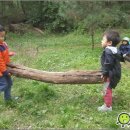 숲이있는 어린이집 이미지