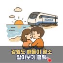 도 - 해돋이 | 2026 새해 강원도 해돋이 명소 추천 및 일출 시간 주차장 팁까지 안내