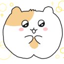 카츠백오산점 이미지