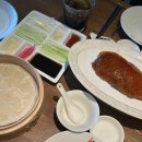 베이징 | 상하이 신천지 맛집 예상하이 베이징덕 후기