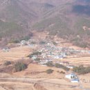 딱박골 Daum카페