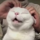 새나에스테틱
