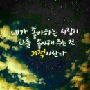 싱글싱글 이미지