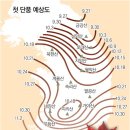 2010년 대한민국 유명산 단풍시기 이미지
