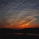 금호강2 이미지