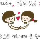 에스엔티(S&T) 이미지