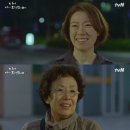 진주댁 오마이뉴스