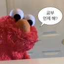 용산-이촌-2410 | 2410 난 기어코 하늘에 필래