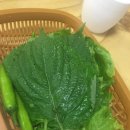참소정 이미지