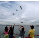 진황도로 이미지