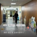 [육아일기] 마이코 플라즈마 폐렴 증상 입원치료 후기(기록용)