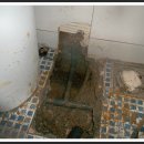 삼학초등학교 이미지