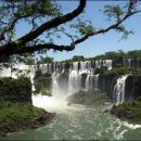 지상낙원 이미지