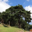 반남박씨 대종중 묘역 이미지