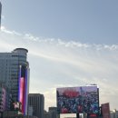 권수경 | mbn마라톤 하프 후기...