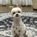 아찌살롱 이미지