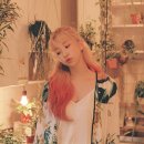 조영수 티브이데일리