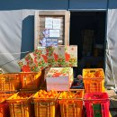 예원농장 | 예원이네 귤농장 제주귤따기체험 단돈 만 원으로 아이랑 겨울 체험