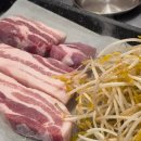 동쓰타임