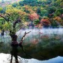 제주도 푸른밤 이미지