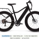 전기자전거 팻바이크(대용량 배터리)500W 팝니다 이미지