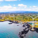 “바가지요금 없앤다더니 진짜 달라졌네”…이번 여름 제주가 다시 기대되는 이유 이미지