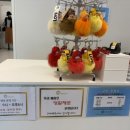 안성기업 | 동탄 평택 모피아울렛 안성 이벨렌 방문 후기