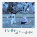 남해-삼동-삼동-비-1 | 울산 삼동 보은논썰매장 후기 부산근교 경상도 아이랑 가볼만한곳 가성비장소 추천