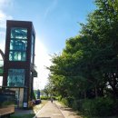 하단동1213 | 을숙도생태공원 자전거 대여 정보, 노을 보면서 산책하기 좋은 곳 🚴‍♀️