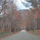은비령산장 | 강원도 인제,속초 맛집 "필례식당 &amp; 은비령" 방문후기