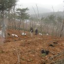 춘호농장 이미지