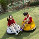 솔샘유치원 이미지