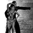 국가대표 챔피언 이미지