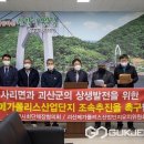 메가폴리스 이미지