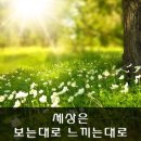 세상은 보는대로 느끼는대로 이미지