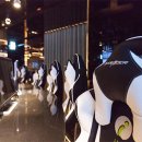 아시아PC 이미지