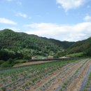 보련마을 이미지