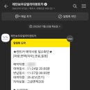 제주도 레인보우 이미지