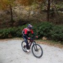 주동초등학교 이미지