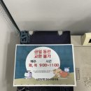 신한은행 연수점 | 연수구청 신한은행, 동전 입금 후기(2026. 01. 기준)