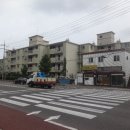 제주올래로(1동) 이미지