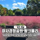 (주)게임알로 | 경기도 하남 미사경정공원 핑크뮬리, 개화상황과 가까운 주차장 탐방기