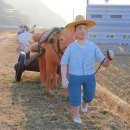 농기계임대사업소 개진분소 이미지