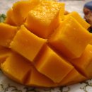 초록망고 이미지