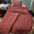 리젠메디 | [세종 프라우메디산부인과] 37주2일 역아 제왕절개한 자세한 후기(수술당일~2일차/37주2일)