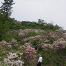 잣나무골 이미지