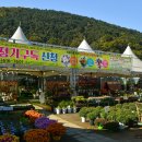 김대식농장 이미지