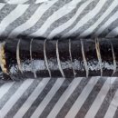 박보영김밥 이미지