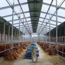 웰빙축산 이미지