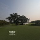 스텝골프스튜디오 | 겨울성수기가장많은한국골퍼가 찾은 태국골프여행은? 바로 아유타야골프여행입니다.